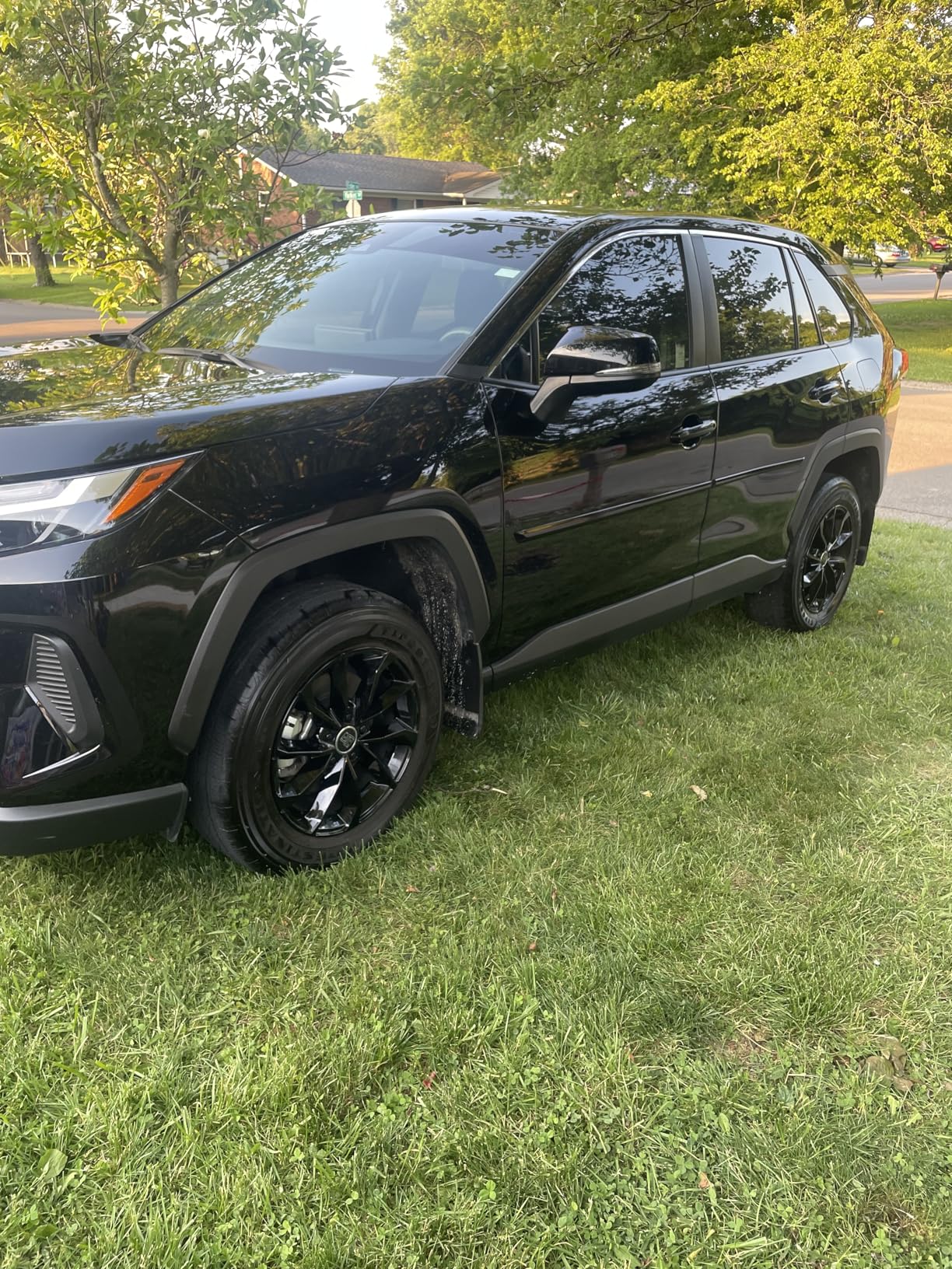 Black Toyota RAV4 on a lawn, its coated doors and hood mirroring the trees overhead